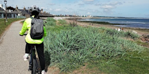 Woman's wellbeing cycle