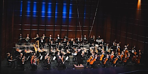 The Gainesville Orchestra - Holiday Pops