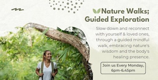 Nature Walks ~ A Guided Exploration