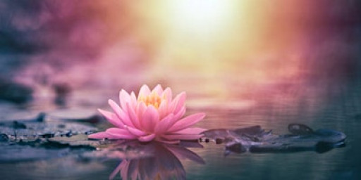 Pure Imagination-Pure Reality; Transforming the World with Mandala Offering