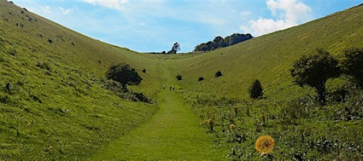 Landscape Photography  Walk - Devil's Dyke  Walk with Eva Kalpadaki