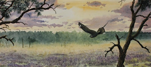 Learn to draw and paint landscapes with Steve Cale