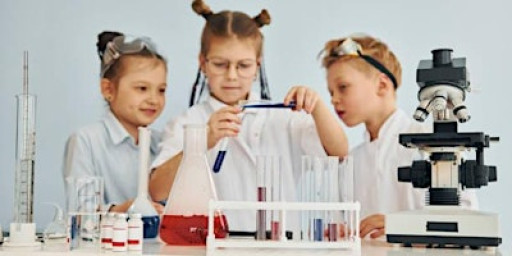 Working scientifically in primary science