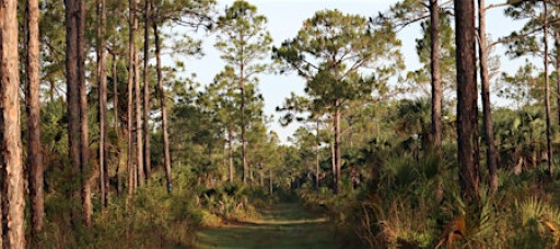 Guided Walk: CREW Cypress Dome Trails (White Trail)
