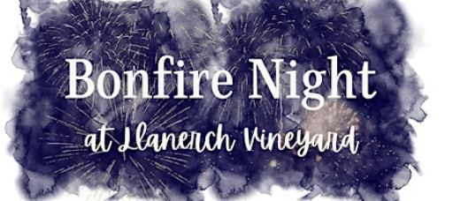 Fireworks Spectacular at Llanerch vineyard - Friday 7th November