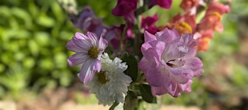 Community Grief and Gratitude Ritual