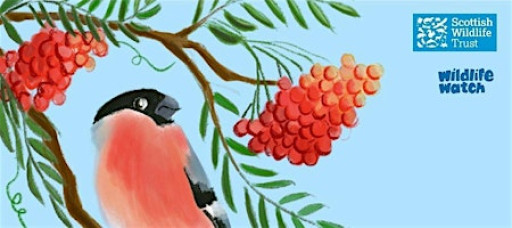 Pollok Park Wildlife Watch