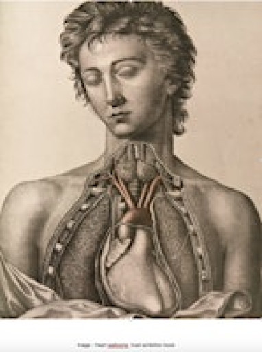 HEARTLANDS/ TIR Y GALON  (explorations in Movement and imagination)