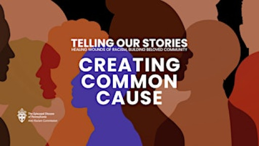 Creating Common Cause - Telling Our Stories