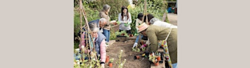 Wild about Brain Health: Autumn #1, Fungi Forage