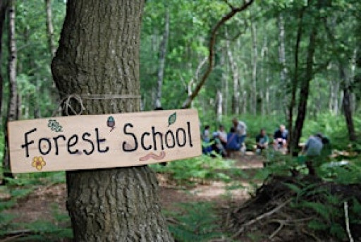 Forest School Training Level 2 Hampshire