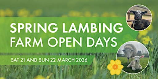Spring Lambing Farm Open Day - Sunday