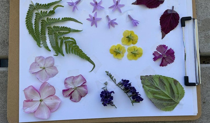 12-16-2025  Horticulture in Arts and Crafts