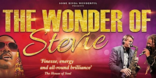 The Wonder of Stevie