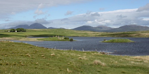 Society AGM and Finlaggan: Archaeology versus History