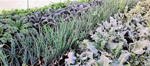 South Dakota Local Foods Conference [MC-03921-01]