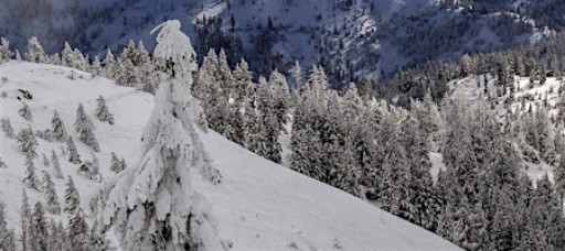 Home School Day: Changing Snow