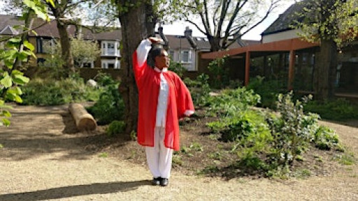 Introduction to Health Qigong