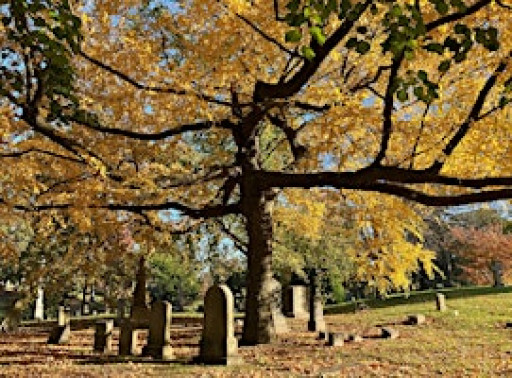 Post Turkey Day Walking Tour