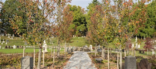 Sacred Grounds: Sips & Stories