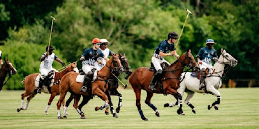 Lux Afrique Polo Day Dubai