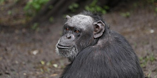 Zoofari Tours: Autumnal Adaptations