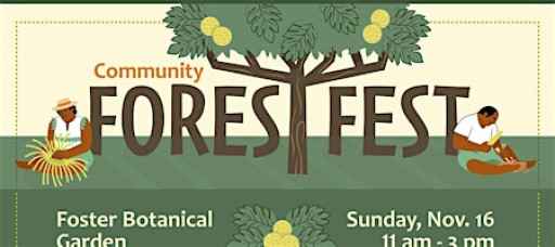 Community Forest Festival