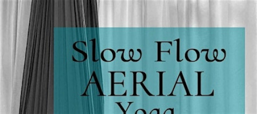 Aerial Yoga - Troy