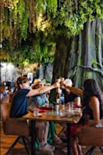 LOGS RAINFOREST THEMED BRUNCH