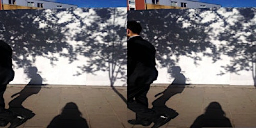 Palace Park Photography Meet-Up  (Crystal Palace)