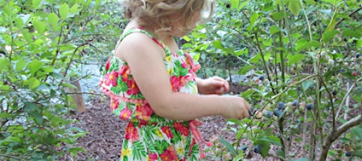 Nature's Explorers'/Exploradores de la Naturaleza