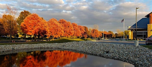 Intro to Mobile Photography - Part 1: Your Phone, Your Camera