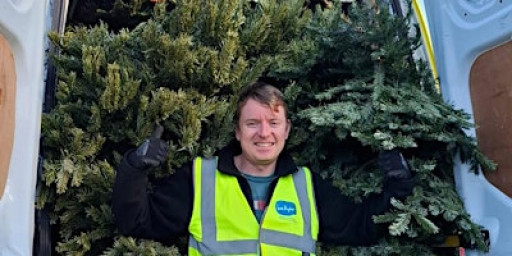 Sue Ryder Christmas Treecycling Bedfordshire and Borders