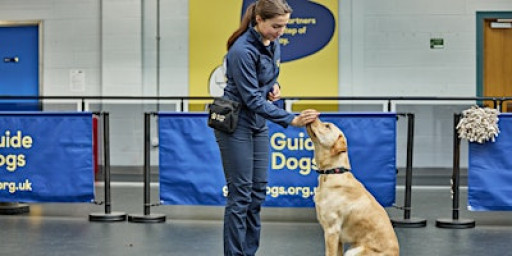 Guide Dogs - Classic Experience - Atherton (2025)