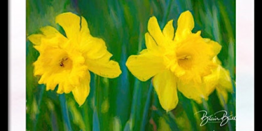 Macro Photography Workshop