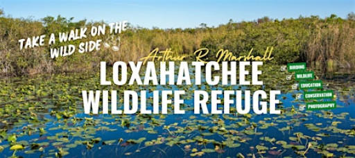Birding Arthur R. Marshall Loxahatchee NWR with Kar DeGeiso