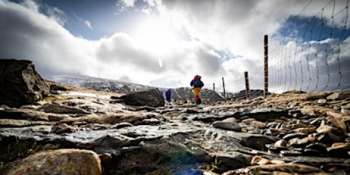 Guided Walking Day - UK Wide - Date to Suit