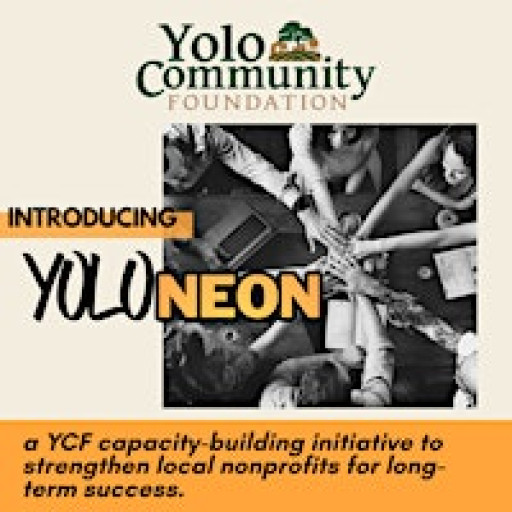 Yolo NEON/NPLA Information Technology Workshop