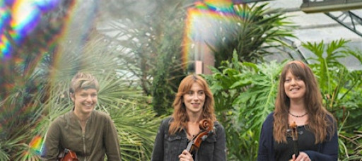 Cambridge Jazz Festival  at Hot Numbers: J.A.M. String Collective