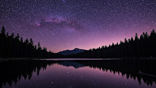 The Music of Stillness