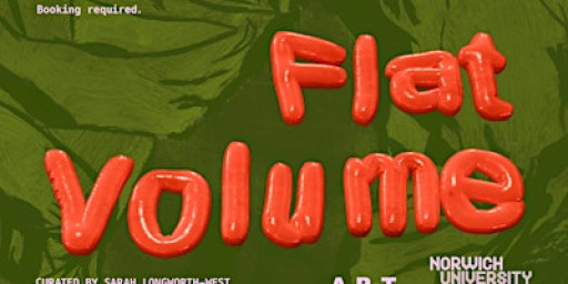 'Flat Volume' exhibition Symposium - 2 panel talks