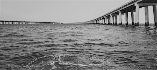 Tribute to the Bay —A Photography Exhibit by ShutterSpeed