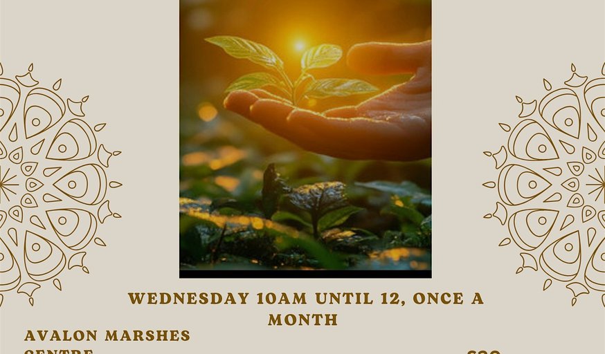 November , Reset, Balance & Healing Workshop