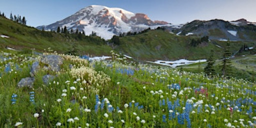 Nature and Landscape Photography - LIVE w/John Greengo