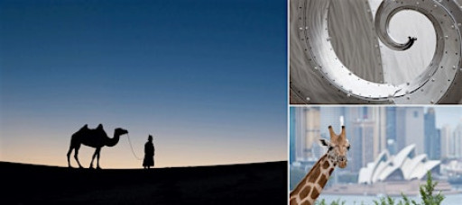 Composition Fundamentals - LIVE w/John Greengo