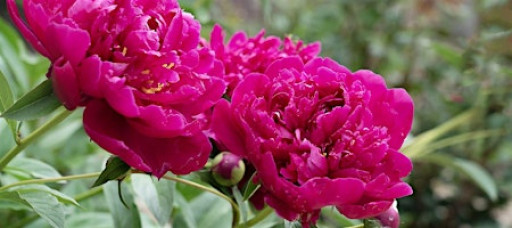 Master Your Camera Controls & Composition in the Field - Photography Class