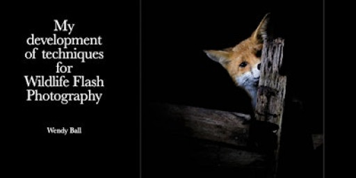 Talk: "Techniques for Wildlife Flash Photography"  from Wendy Ball