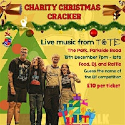 Charity Christmas Cracker