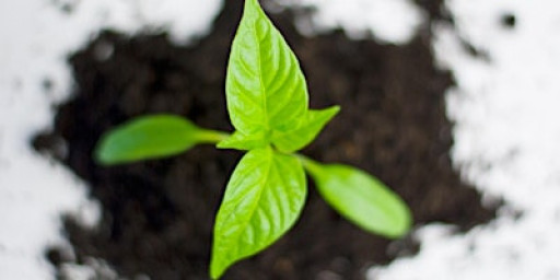 Applying for Postgraduate Study