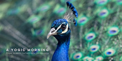 A Yogic Morning: Yoga, Breath, Reflections, Community